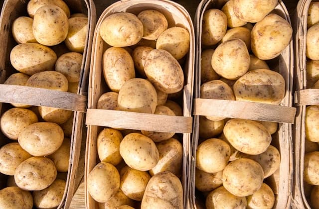 Fresh Potatoes