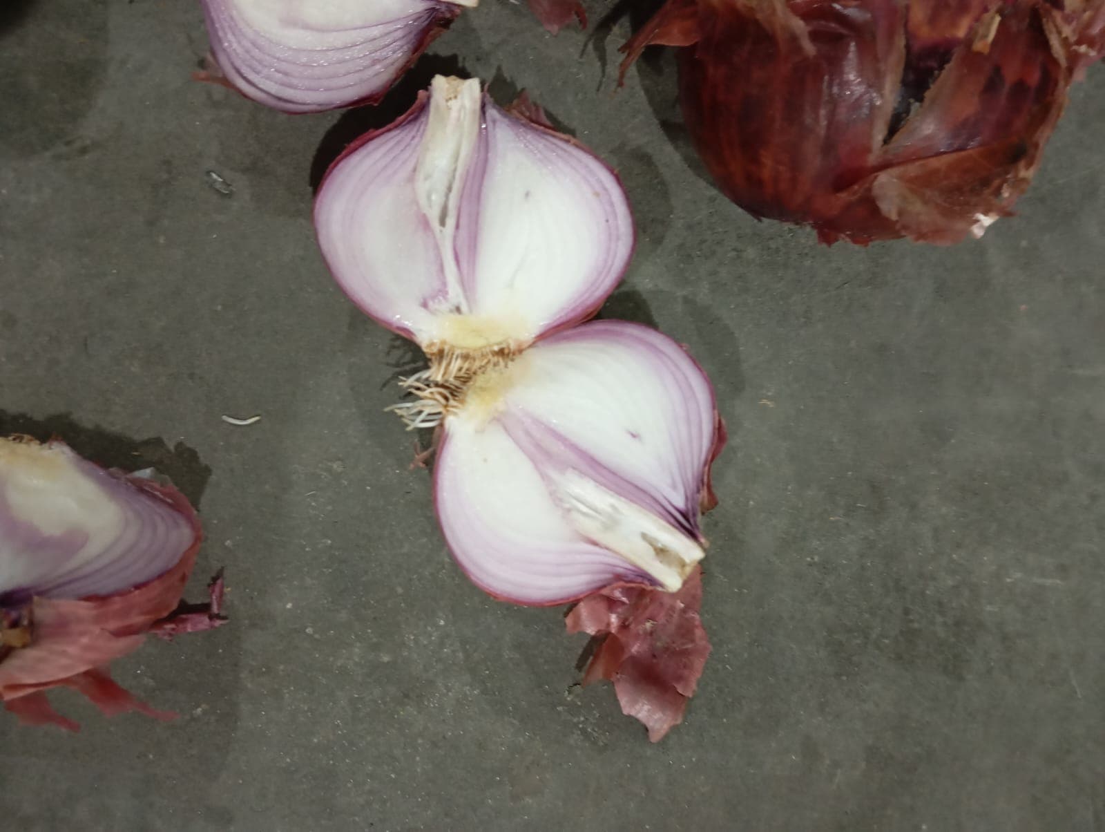 Onions
