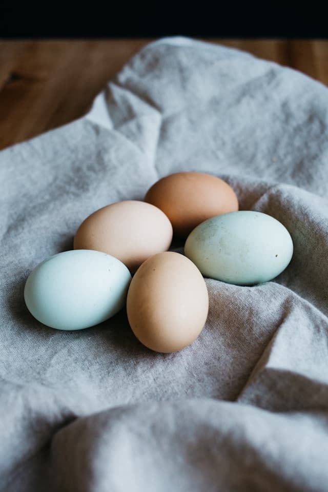 Eggs